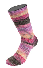 Lade das Bild in den Galerie-Viewer, Lana Grossa Cosy Socks Dream