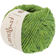 Lade das Bild in den Galerie-Viewer, Lana Grossa Landlust Soft Tweed 90 Pistazie meliert Nr. 22