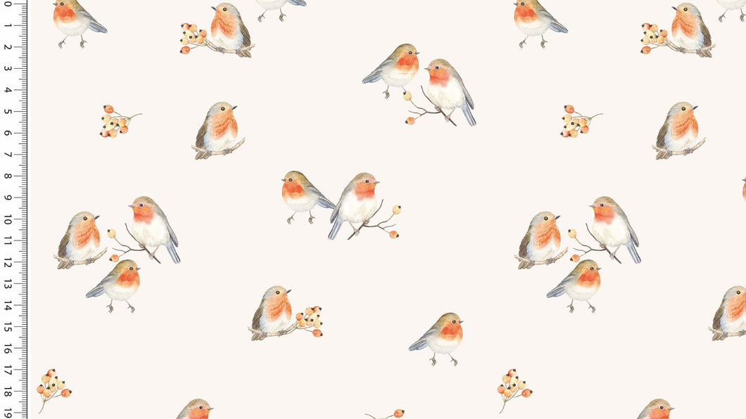 Jersey Vögel Robin