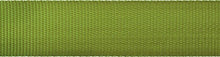 Lade das Bild in den Galerie-Viewer, Gurtband 4cm grün apfelgrün
