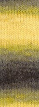 Lade das Bild in den Galerie-Viewer, Lana Grossa Basta Mista Nr. 117
