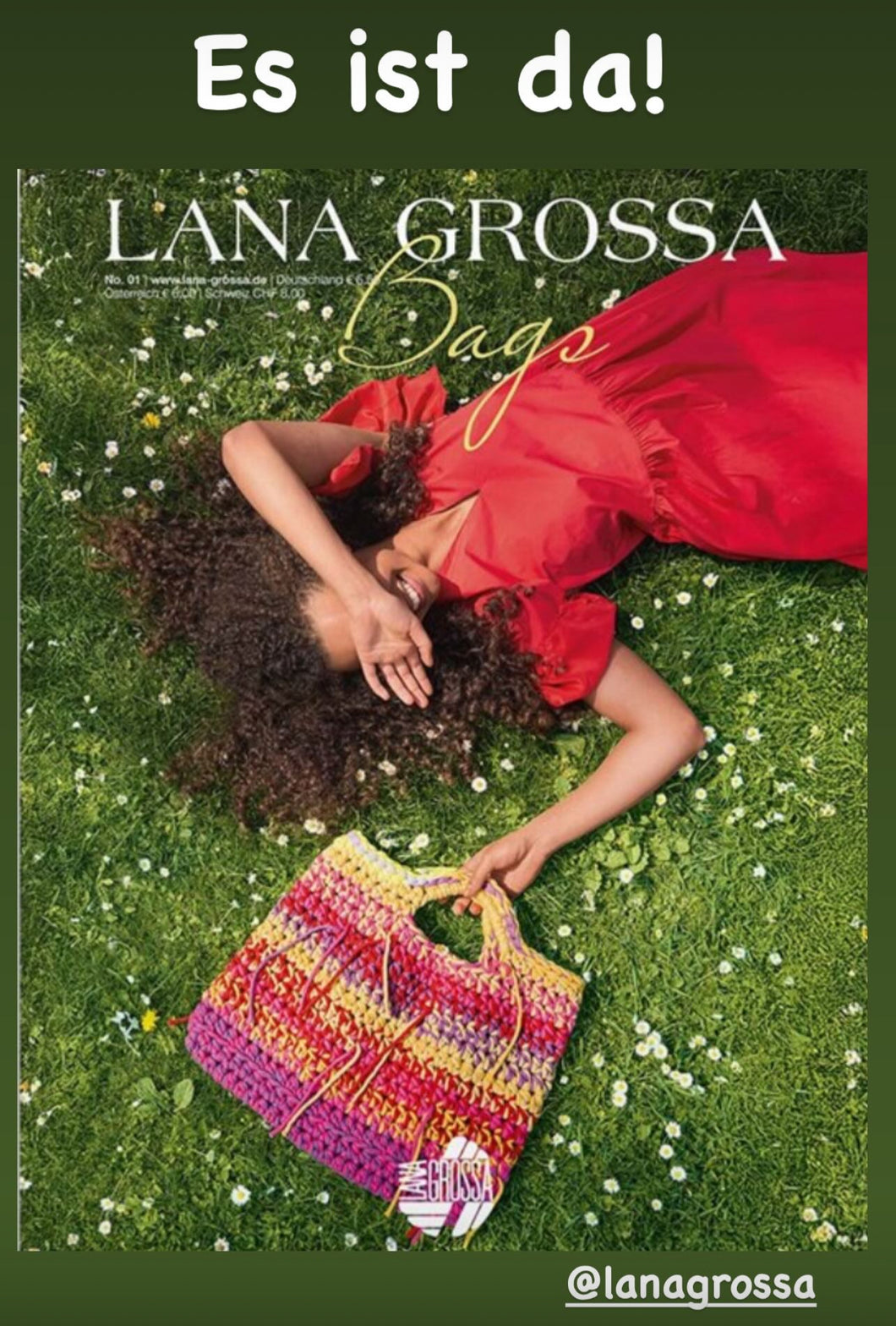 Lana Grossa Bags