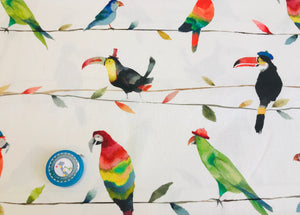 Homedeco Toucan talk paintbox Papageien