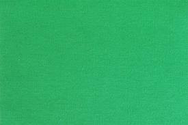 Baumwoll-Jersey Uni grün